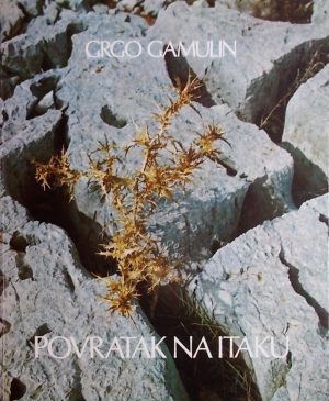 Gamulin-Povratak na Itaku