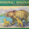 Cook-Drawing Wildlife