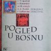 Sančević: Pogled u Bosnu