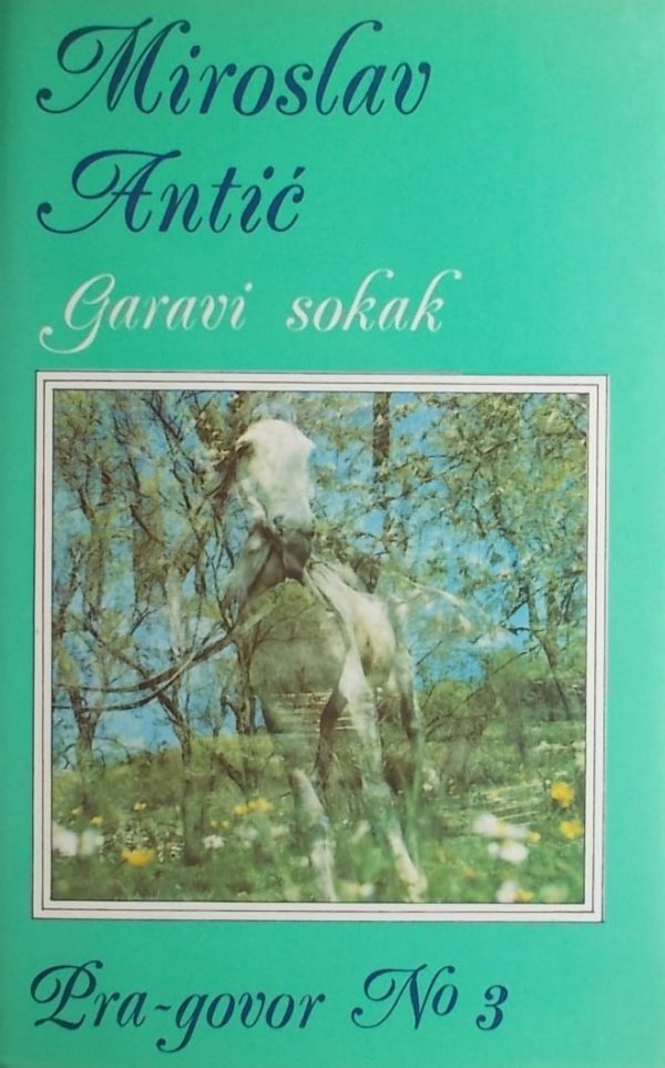 Antić-Garavi sokak