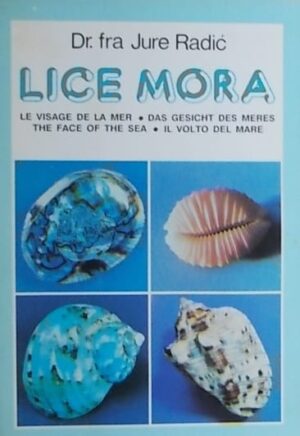 Radić: Lice mora