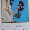 Šilić-Atlas drveća i grmlja