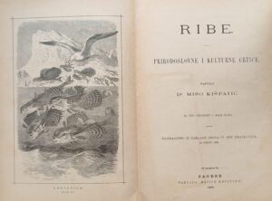 Kišpatić: Ribe: prirodoslovne i kulturne crtice (1)