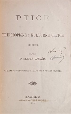 Gjurašin-Ptice