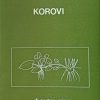 Kojić-Korovi