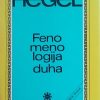 Hegel: Fenomenologija duha