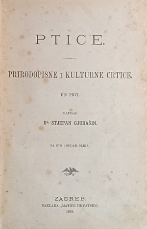 Gjurasin-Ptice